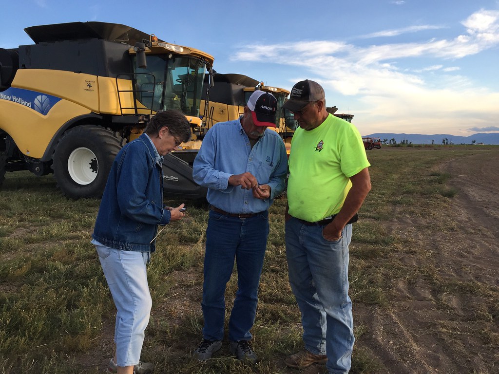 Z Crew: Because it's what harvesters do!