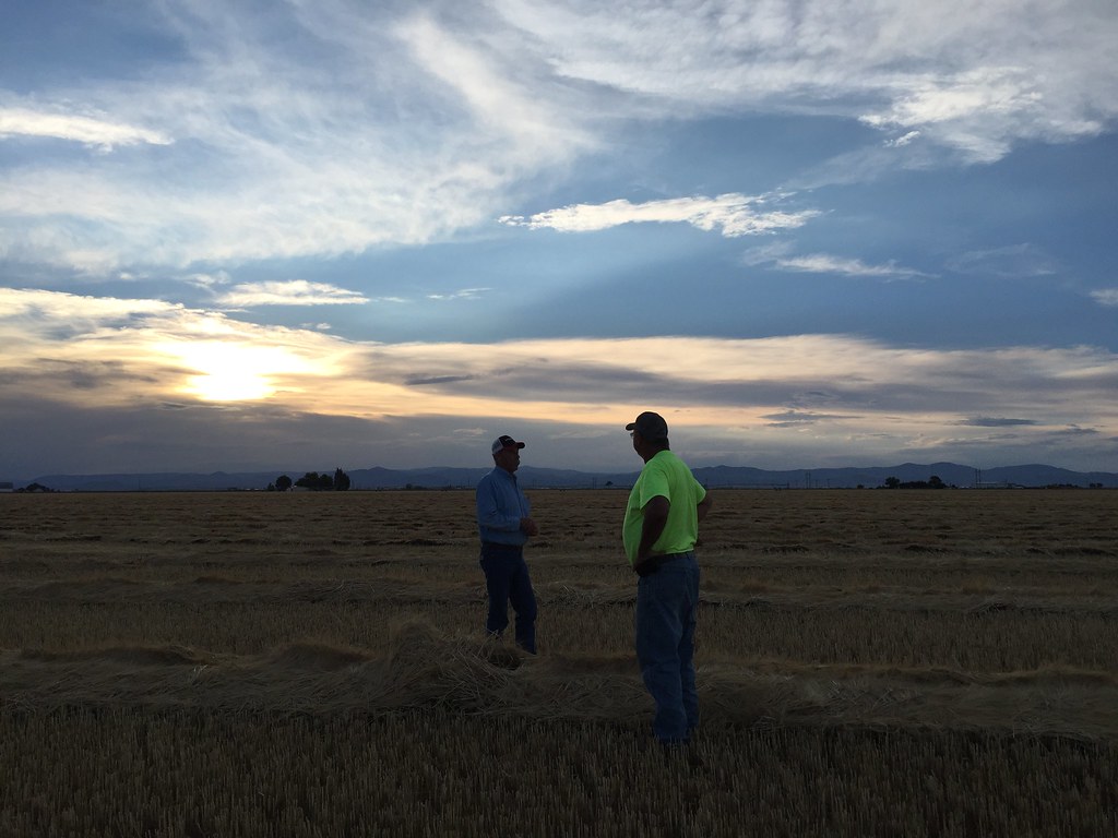 Z Crew: Because it's what harvesters do!