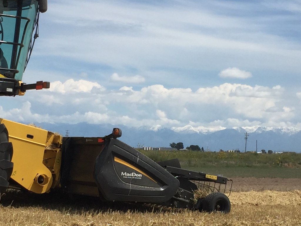 Z Crew: Because it's what harvesters do!