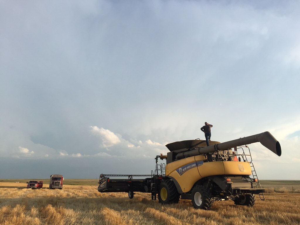 Z Crew: Because it's what harvesters do.