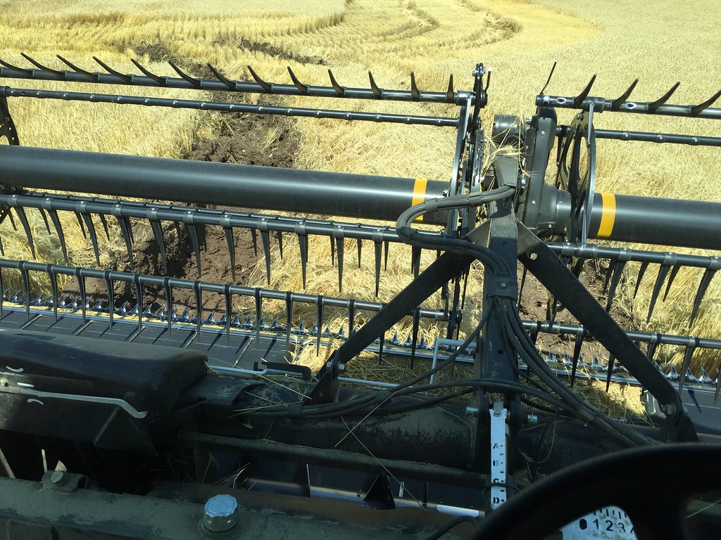 Z Crew: Because it's what harvesters do.