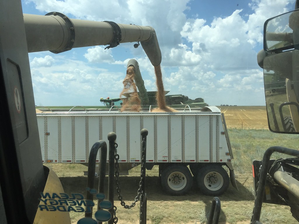 Z Crew: Because it's what harvesters do.