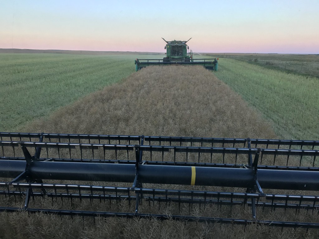 HPH-2016-North Dakota (Willem)