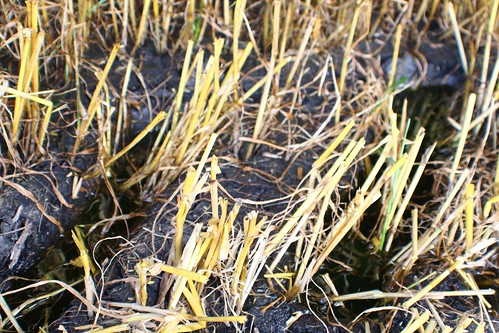 Little hydraulic spill.