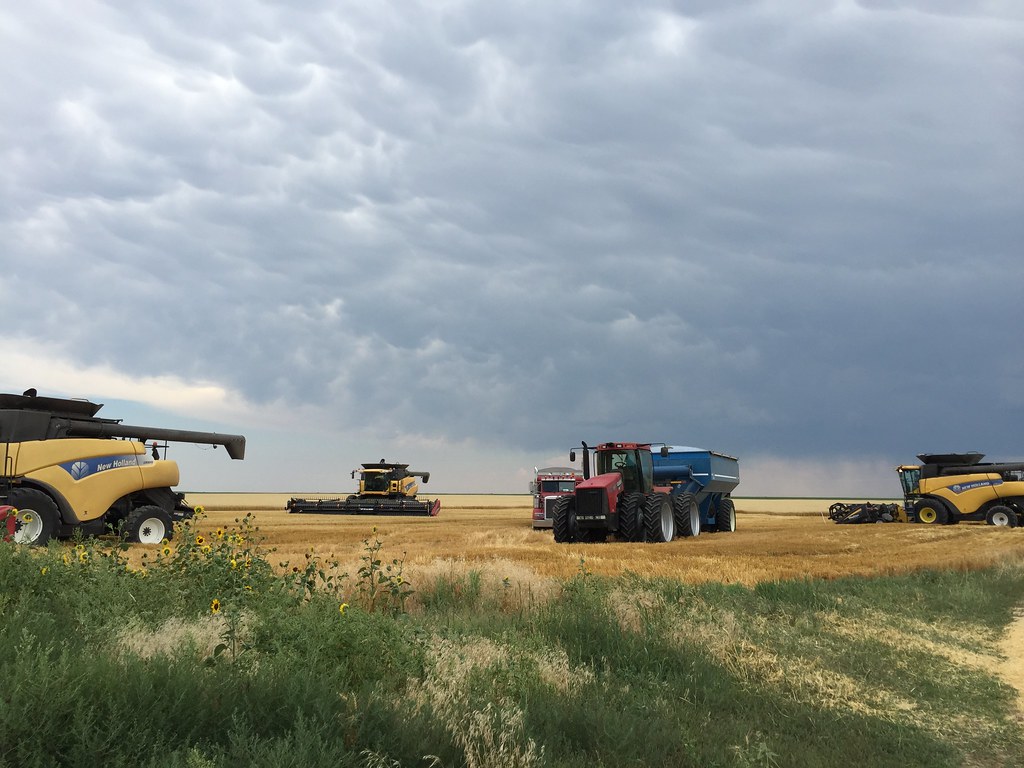 Z Crew: Because it's what harvesters do.