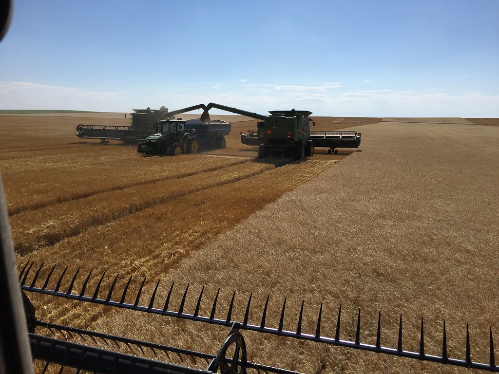 Z Crew: Because it's what harvesters do.