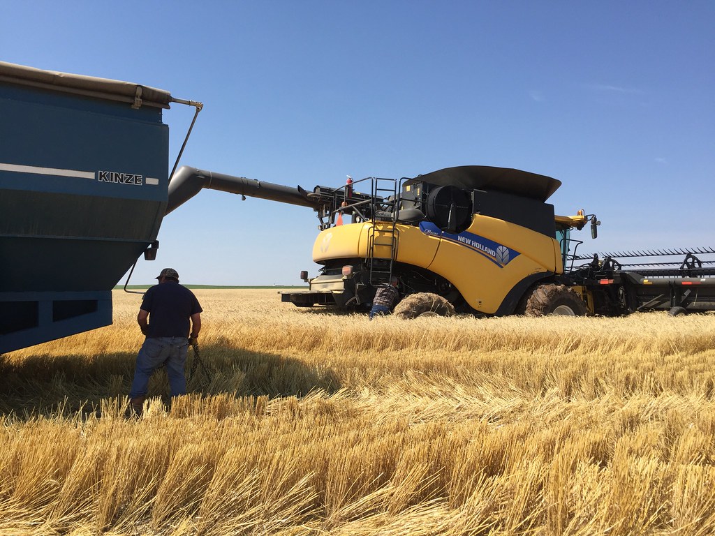 Z Crew: Because it's what harvesters do.