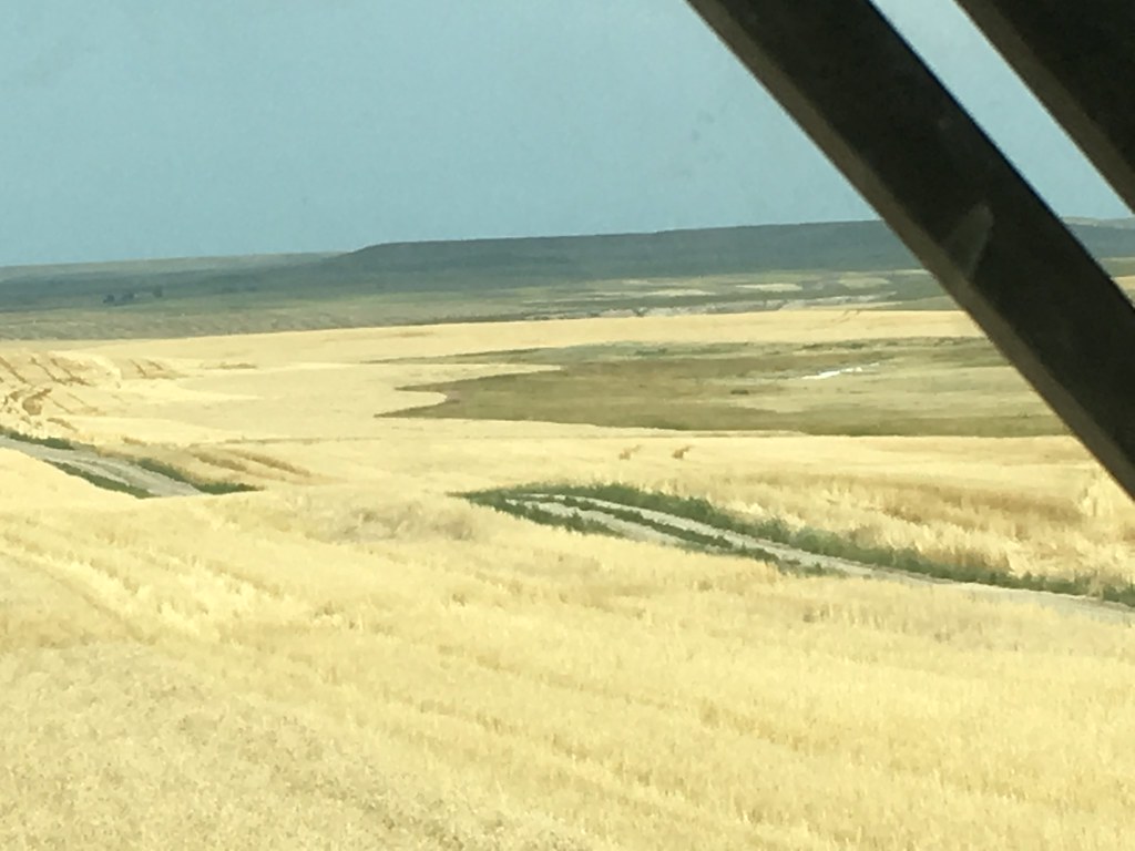 HPH-2016-Montana (Mark)