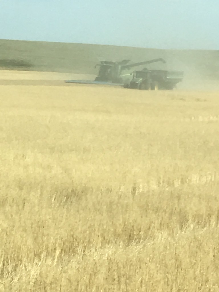 HPH-2016-Montana (Mark)