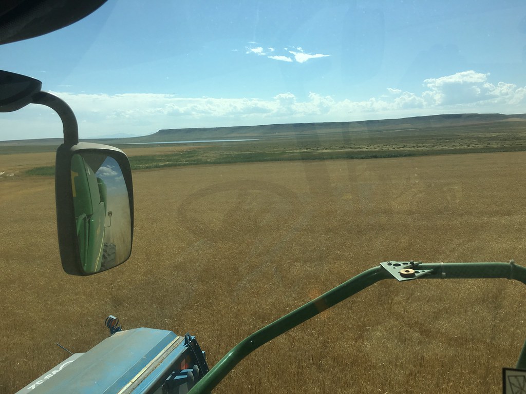 HPH-2016-Montana (Mark)