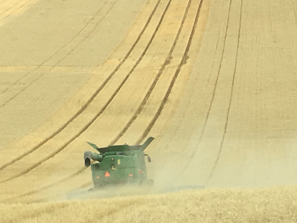 HPH-2016-Montana (Mark)