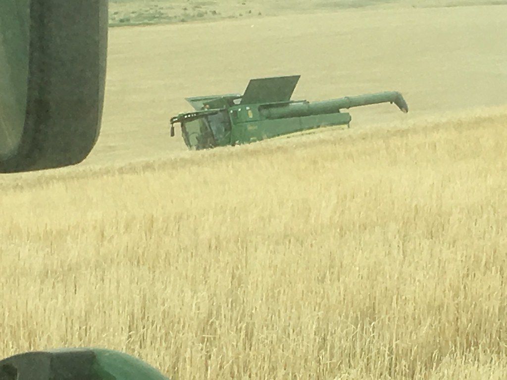 HPH-2016-Montana (Mark)