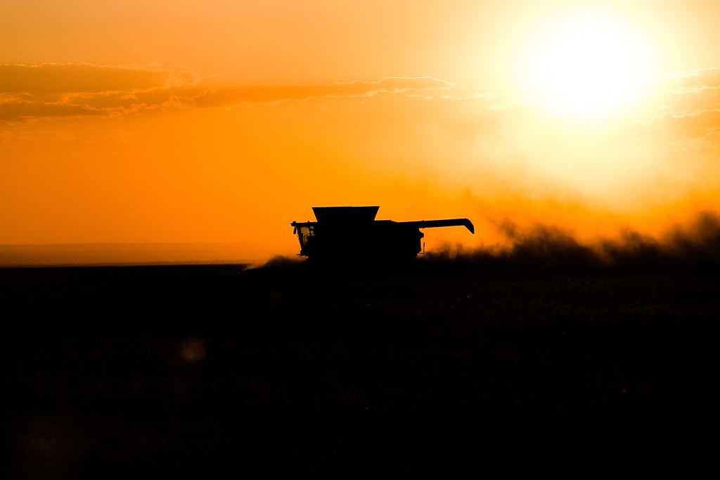 High Plains Harvesting 2018