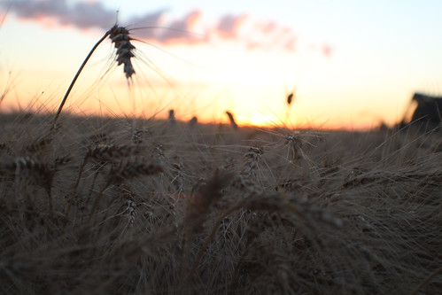 Ahh yes, sunset love.