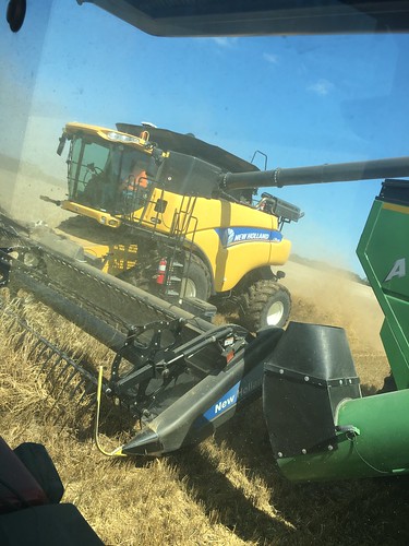 View from the grain cart.