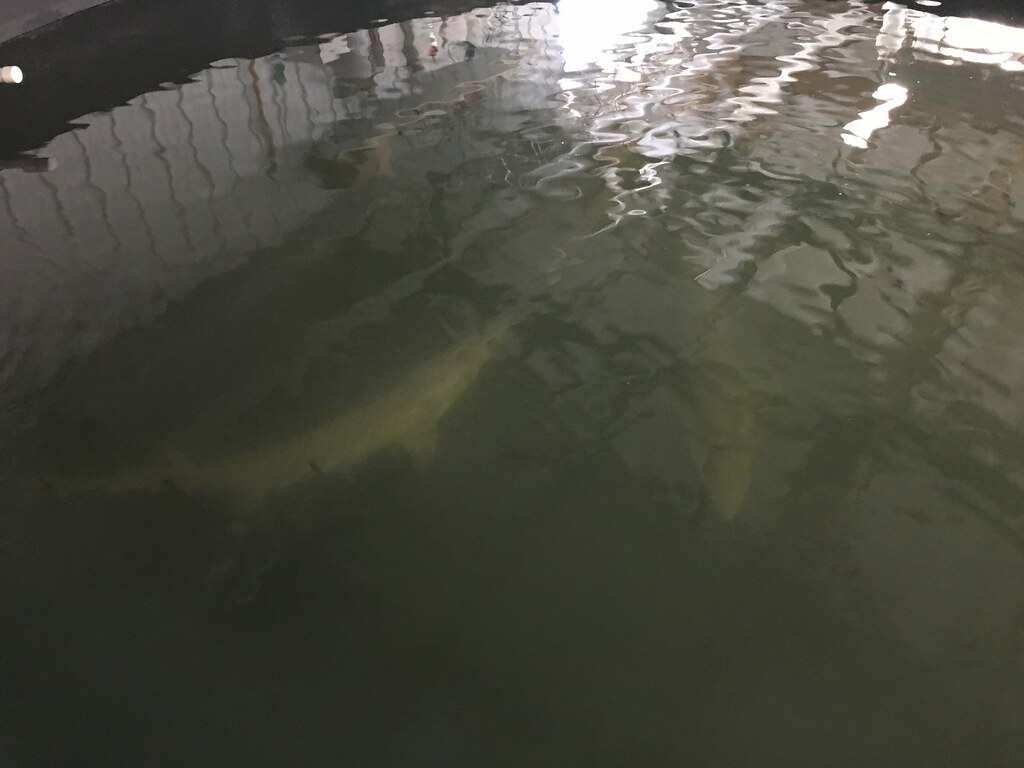 HPH-2016-North Dakota (Laura)