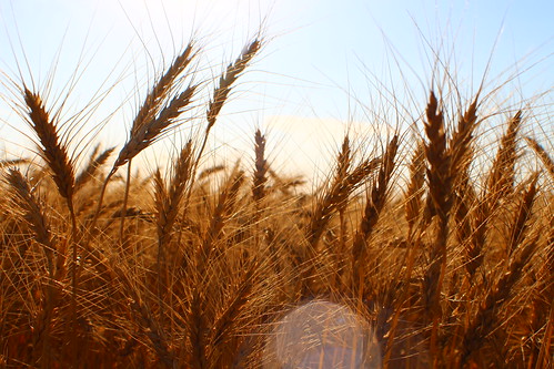 The sun was my friend today.