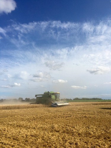 Farmer Wayne trying out a stripper head.