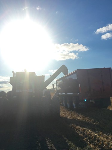 Unloading into Purple.