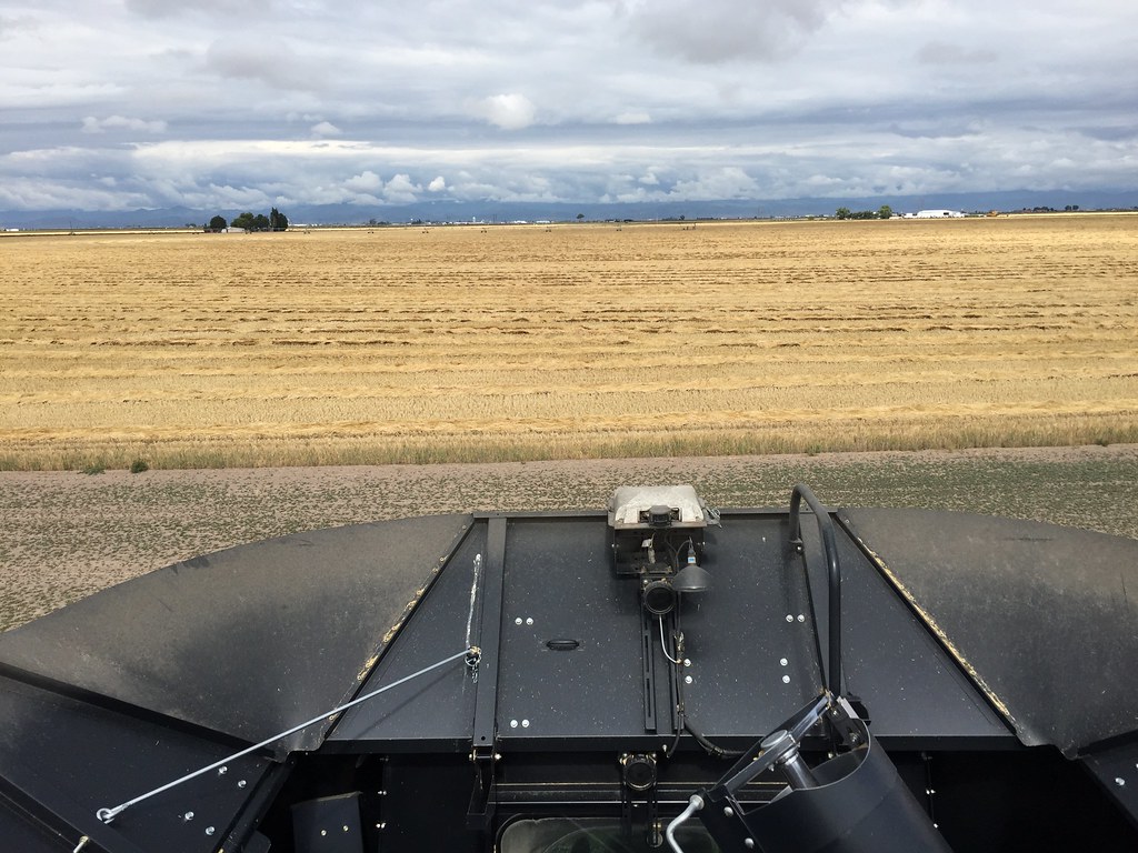 Z Crew: Because it's what harvesters do!