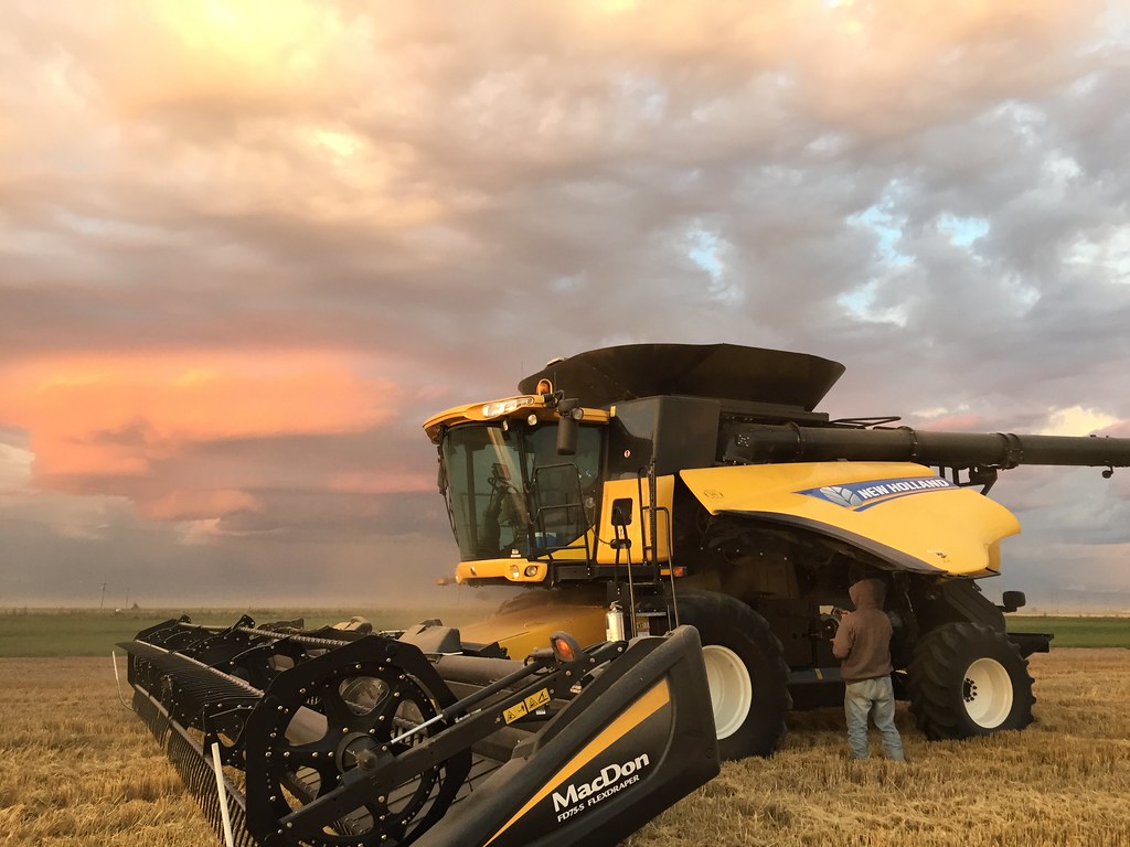 Z Crew: Because it's what harvesters do!