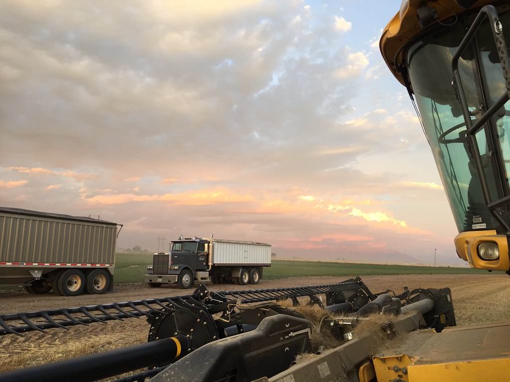 Z Crew: Because it's what harvesters do!