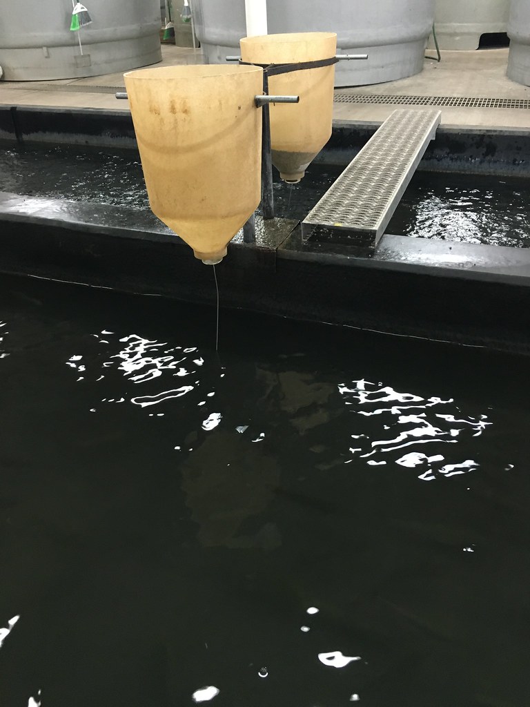 HPH-2016-North Dakota (Laura)