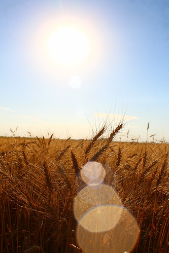 Oh the pretty lighting.