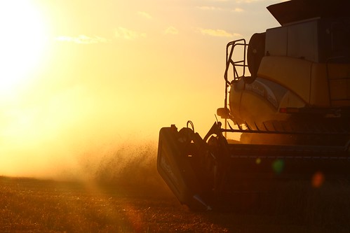 Like I said, couldn't get enough!