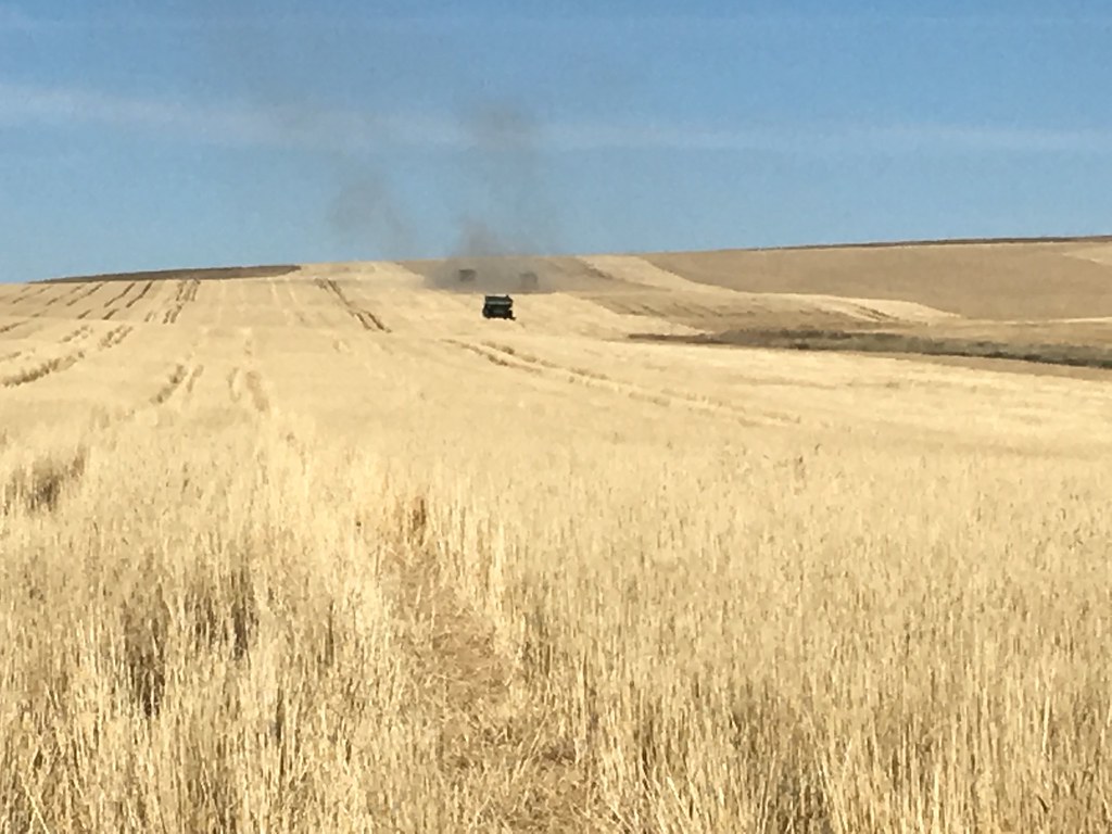 HPH-2016-Monanta Mark 7