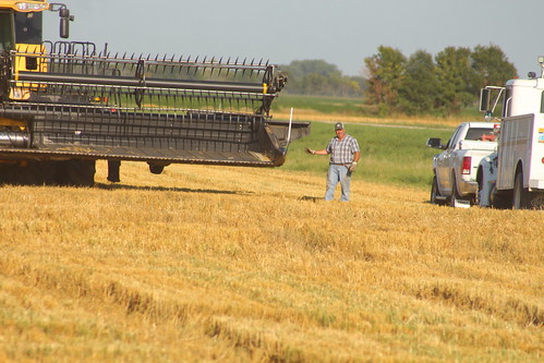 Dad fixing on the header.