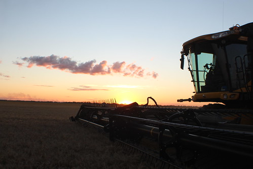 There goes another day.