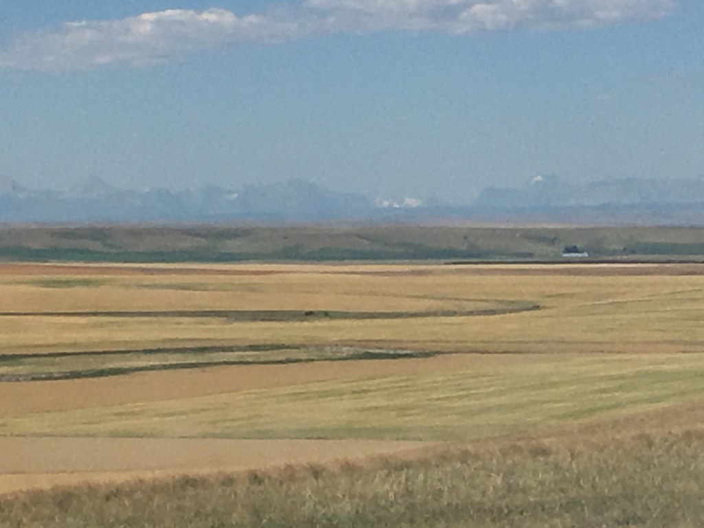 HPH-2016-Monanta Mark 6