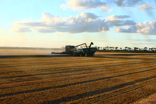 Almost my favorite part of the day!