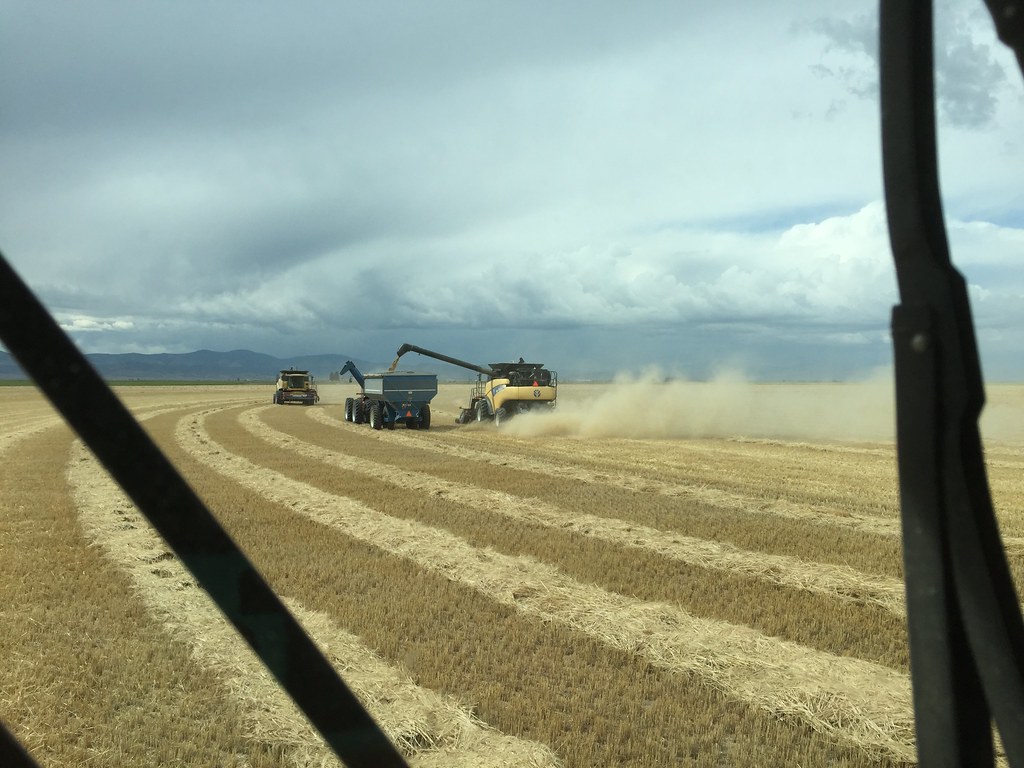 Z Crew: Because it's what harvesters do!