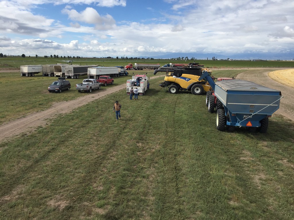 Z Crew: Because it's what harvesters do!