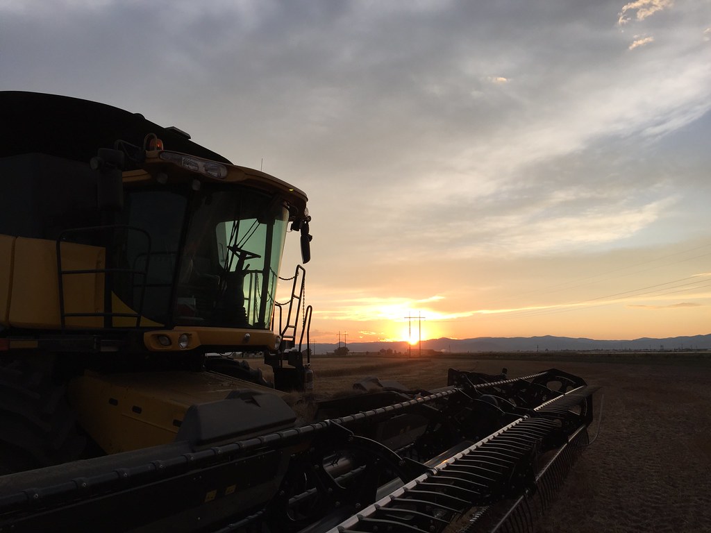 Z Crew: Because it's what harvesters do!