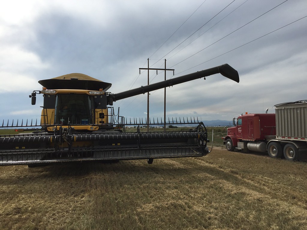 Z Crew: Because it's what harvesters do!