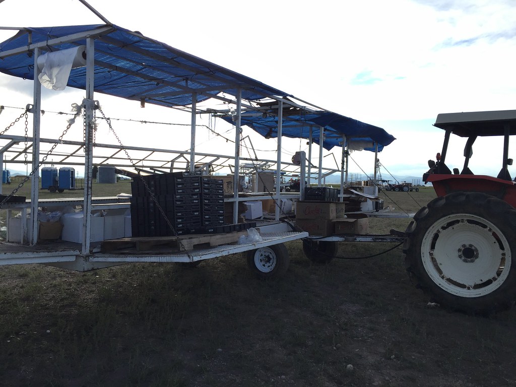 Z Crew: Because it's what harvesters do!