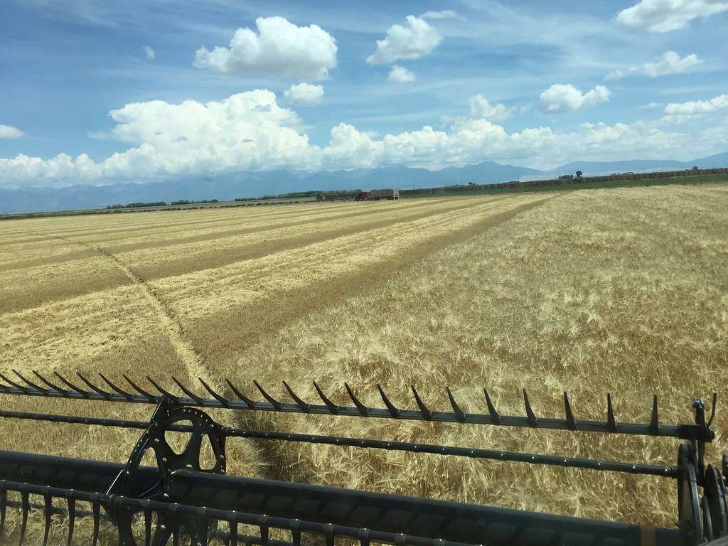 Z Crew: Because it's what harvesters do!