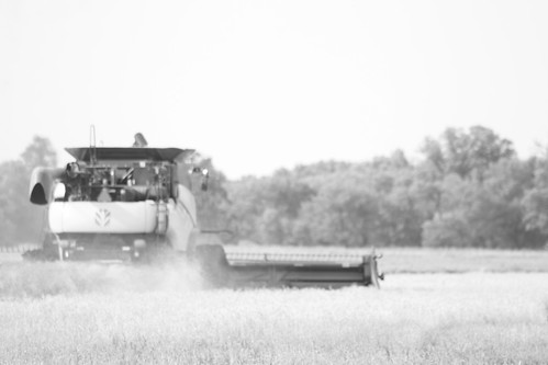 Making dust amongst the water.