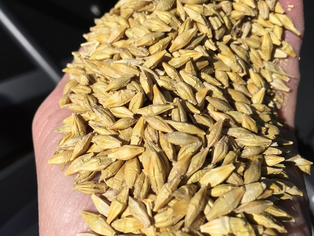 Z Crew: Because it's what harvesters do!