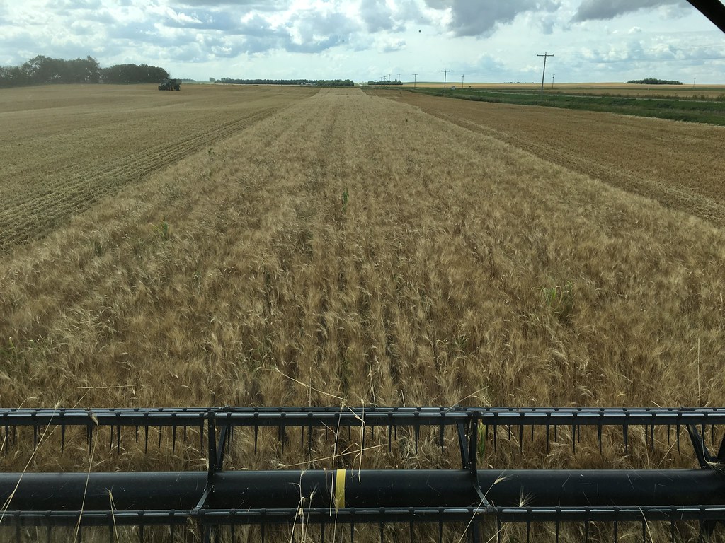 HPH-2016-North Dakota (Willem)