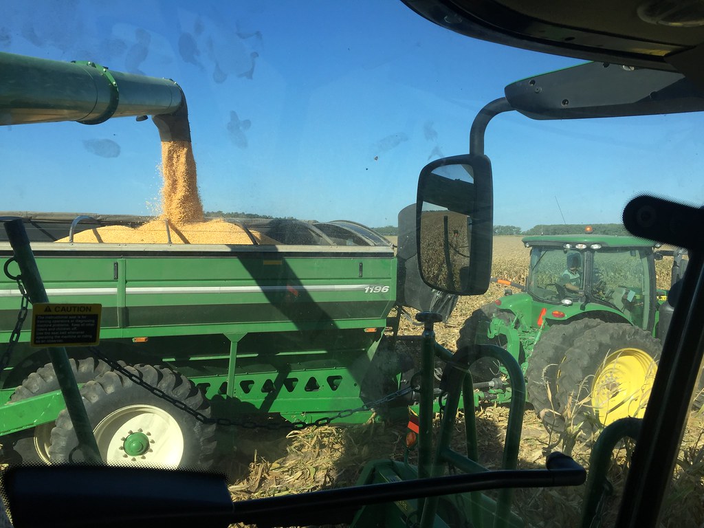 HPH-2016-Corn Harvest (Pieter)