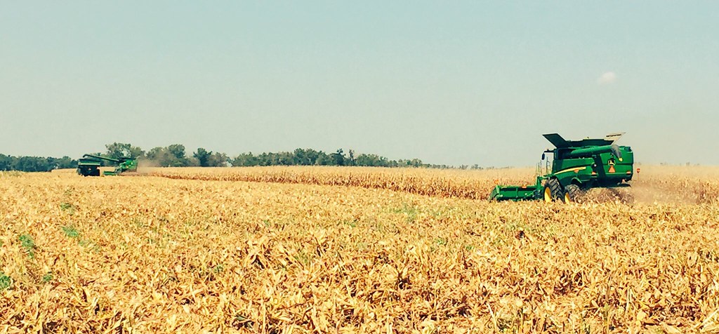 HPH-2016-Corn Harvest (Ryan)