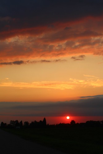 Little ball of fire.