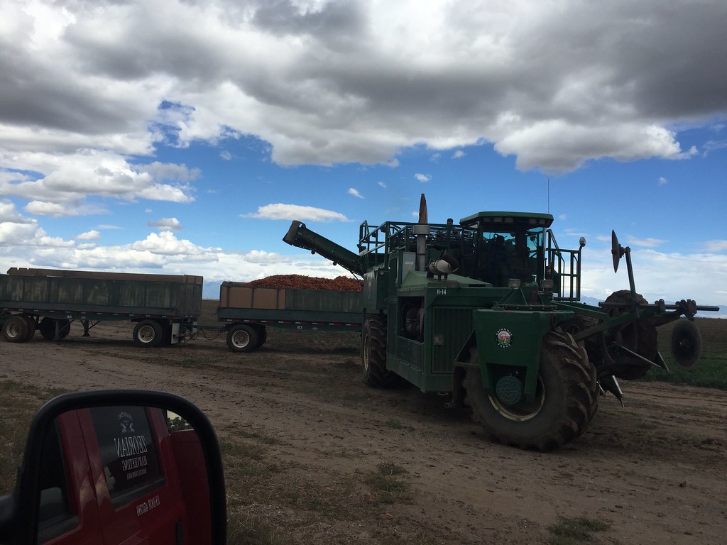 Z Crew: Because it's what harvester's do.