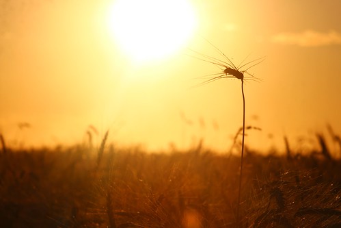 Couldn't get enough of this lighting...