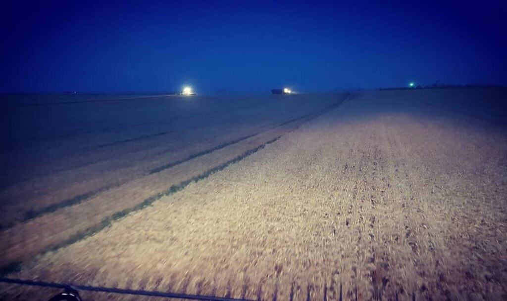 Schemper Harvesting 2018