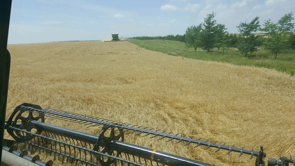 Schemper Harvesting